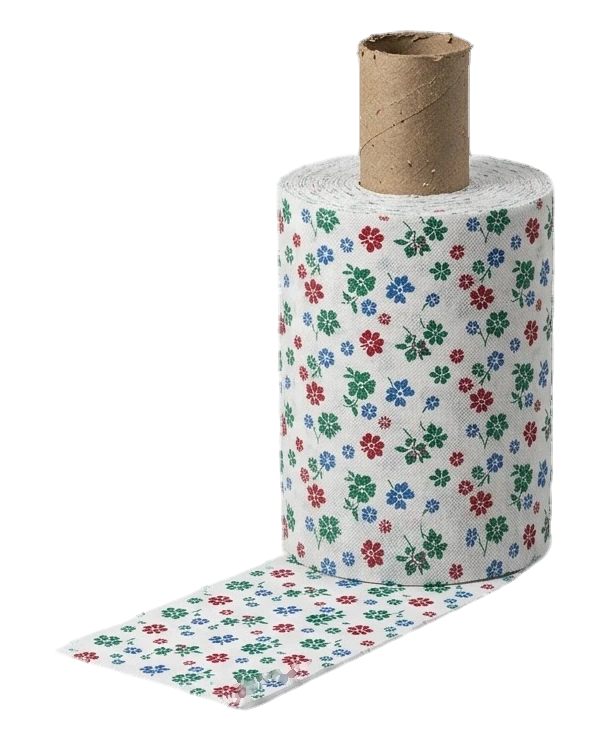 Flexo Printed Non-Woven Fabric